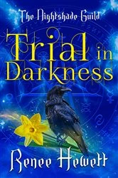 Book cover of Trial in Darkness by Renee Hewett