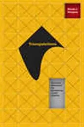 Book cover of Triangulations by David J. Vázquez