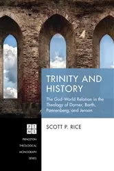 Book cover of Trinity and History by Scott P. Rice
