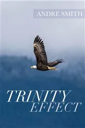 Book cover of Trinity Effect by Andre Smith