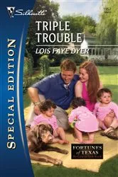 Book cover of Triple Trouble by Lois Faye Dyer