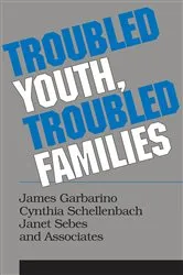 Book cover of Troubled Youth, Troubled Families by Cynthia Schellenbach