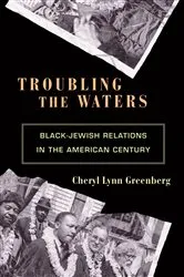 Book cover of Troubling the Waters by Cheryl Lynn Greenberg