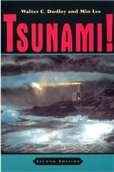 Book cover of Tsunami by S. MAMBRETTI