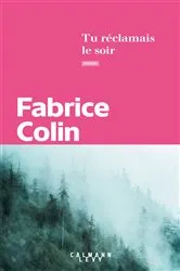 Book cover of Tu réclamais le soir by Fabrice Colin