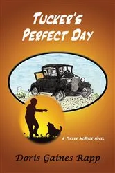 Book cover of Tucker's Perfect Day by Rapp