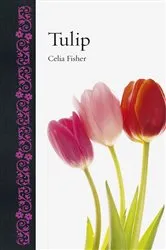 Book cover of Tulip by Celia Fisher