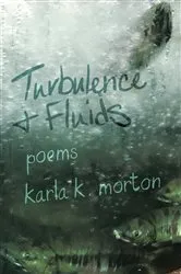 Book cover of Turbulence & Fluids by karla k. morton