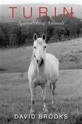 Book cover of Turin by David Brooks