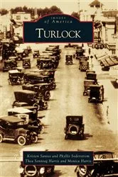 Book cover of Turlock by Kristen Santos