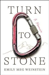 Book cover of Turn to Stone by Brian Freeman