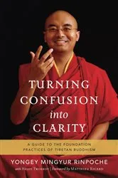 Book cover of Turning Confusion into Clarity by Yongey Mingyur Rinpoche