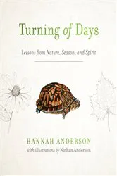 Book cover of Turning of Days by Hannah Anderson
