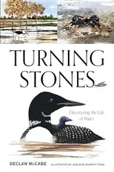 Book cover of Turning Stones by Declan McCabe