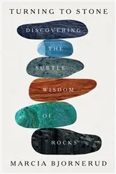 Book cover of Turning to Stone by Marcia Bjornerud