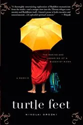 Book cover of Turtle Feet by Nikolai Grozni
