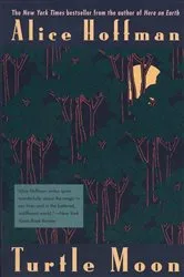 Book cover of Turtle Moon by Alice Hoffman