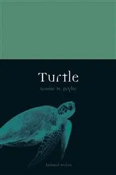 Book cover of Turtle by Louise M. Pryke