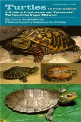 Book cover of Turtles in Your Pocket by Terry VanDeWalle