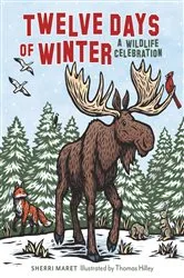 Book cover of Twelve Days of Winter by Unknown