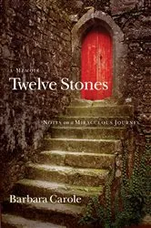Book cover of Twelve Stones by Barbara Carole