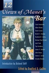 Book cover of Twelve Views of Manet's Bar by Bradford Collins