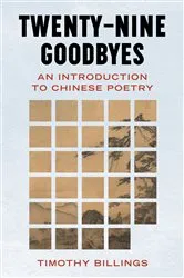 Book cover of Twenty-Nine Goodbyes by Timothy Billings