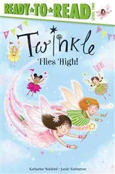 Book cover of Twinkle Flies High! by Katharine Holabird