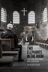 Book cover of Two Elephants in the Room by John Bodycomb