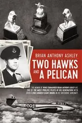 Book cover of Two Hawks and a Pelican by Brian Anthony Ashley