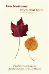Book cover of Two Treasures by Thich Nhat Hanh