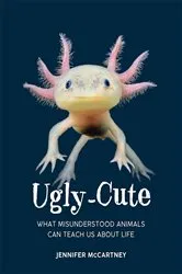 Book cover of Ugly-Cute by Jennifer McCartney