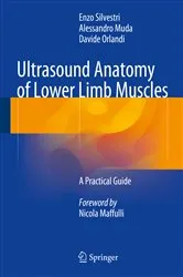 Book cover of Ultrasound Anatomy of Lower Limb Muscles by Enzo Silvestri