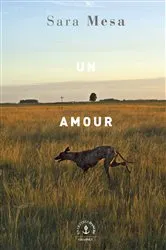 Book cover of Un amour by Sara Mesa