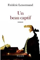 Book cover of Un beau captif by Frédéric Lenormand