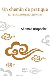 Book cover of Un chemin de pratique by Shamar Rinpoche