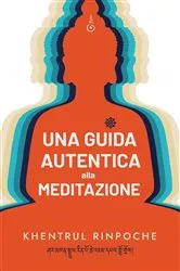 Book cover of Una guida autentica alla meditazione by Shar Khentrul Jamphel Lodrö