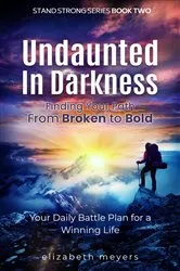 Book cover of Undaunted in Darkness by Elizabeth Meyers