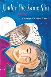 Book cover of Under the Same Sky by Cynthia DeFelice