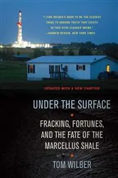Book cover of Under the Surface by Sonya Blake