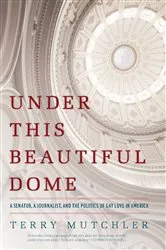 Book cover of Under This Beautiful Dome by Terry Mutchler