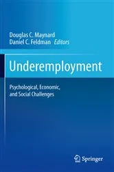 Book cover of Underemployment by Douglas C. Maynard