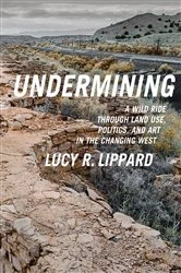 Book cover of Undermining by Lucy R. Lippard