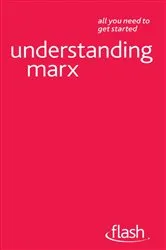 Book cover of Understanding Marx: Flash by Gill Hands