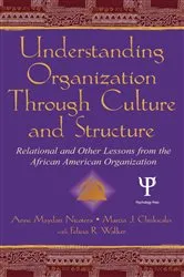 Book cover of Understanding Organization Through Culture and Structure by Anne Maydan Nicotera