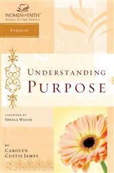 Book cover of Understanding Purpose by Unknown