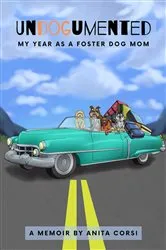 Book cover of Undogumented by Anita Corsi