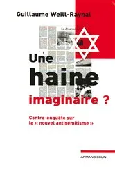Book cover of Une haine imaginaire ? by Guillaume Weill-Raynal