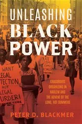 Book cover of Unleashing Black Power by Peter D. Blackmer
