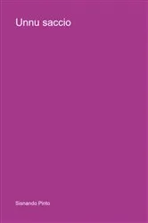 Book cover of Unnu Saccio by Sisnando Pinto